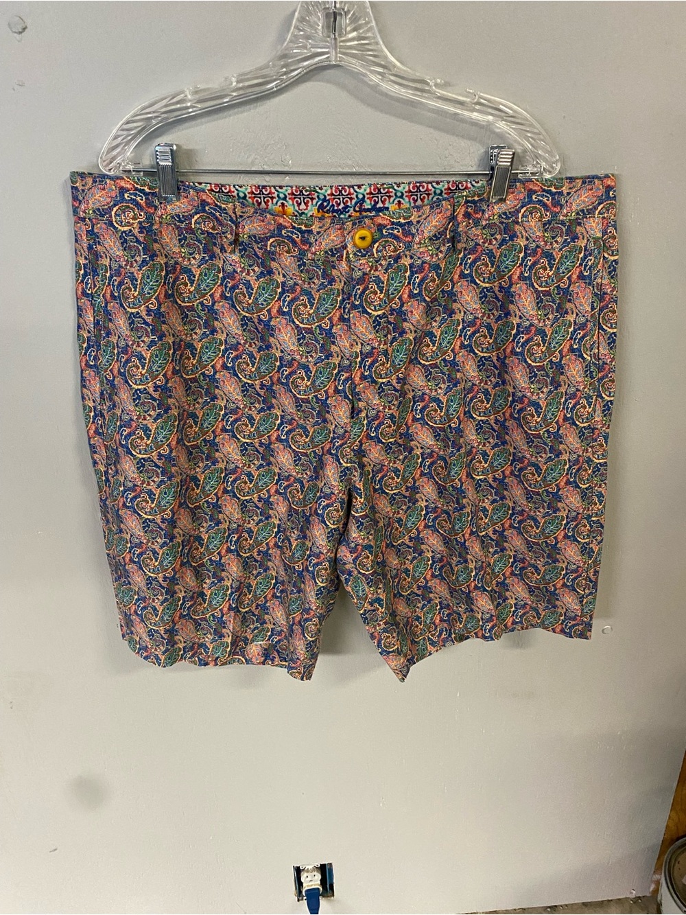 Robert Graham Men's Multicolor Paisley Cotton Shorts